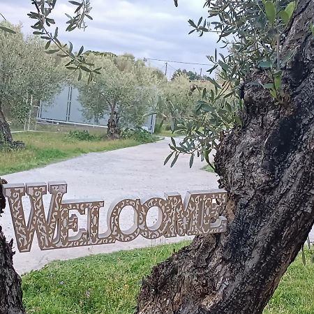 فيلا The Secret Olive House نيا ميشانيونا المظهر الخارجي الصورة