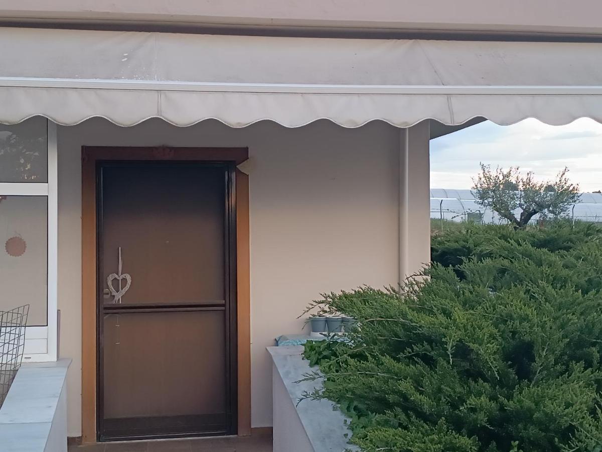 فيلا The Secret Olive House نيا ميشانيونا المظهر الخارجي الصورة