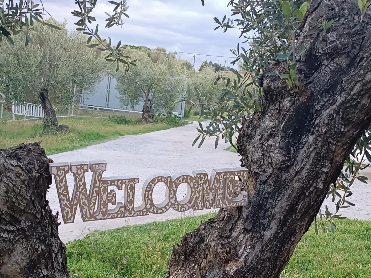 فيلا The Secret Olive House نيا ميشانيونا المظهر الخارجي الصورة