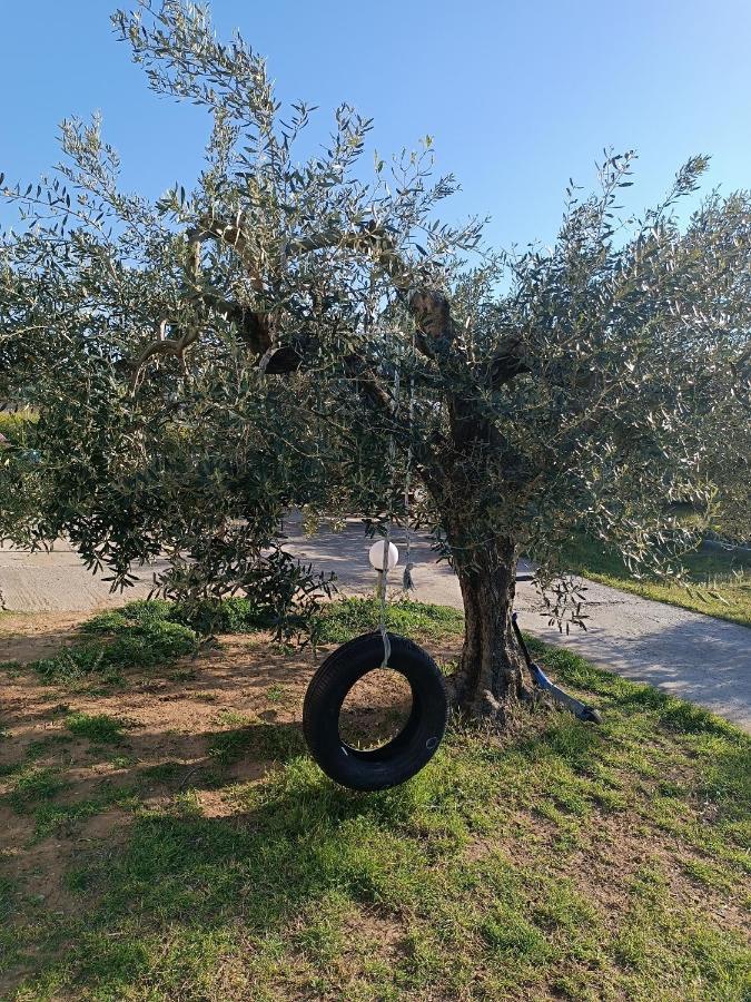 فيلا The Secret Olive House نيا ميشانيونا المظهر الخارجي الصورة