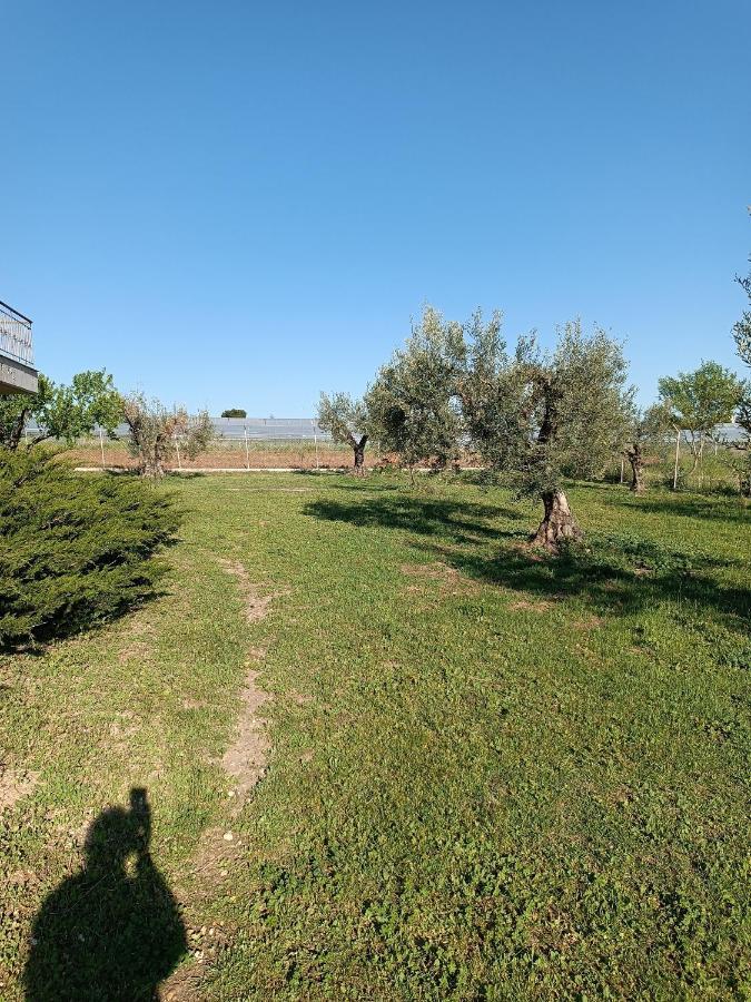 فيلا The Secret Olive House نيا ميشانيونا المظهر الخارجي الصورة