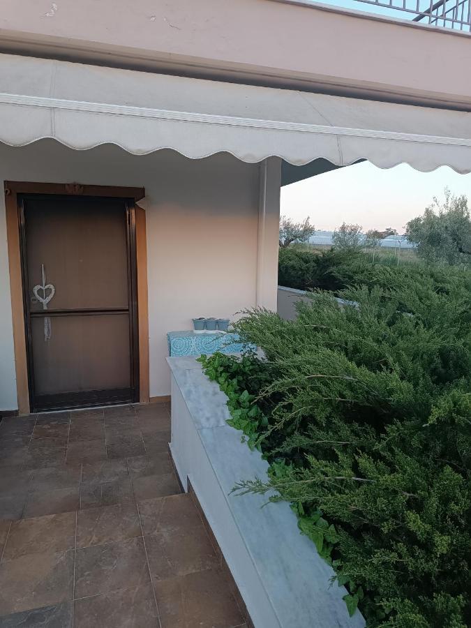 فيلا The Secret Olive House نيا ميشانيونا المظهر الخارجي الصورة